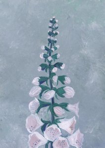 Weiße Fingerhutblüte