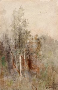 Baumstudie, 1879