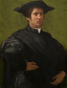 Porträt eines Mannes von Rosso Fiorentino