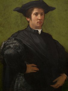 Porträt eines Mannes von Rosso Fiorentino
