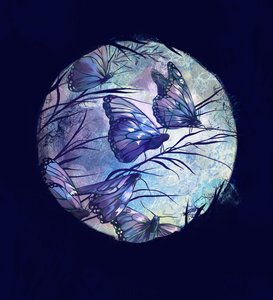 Sommernacht, 2016