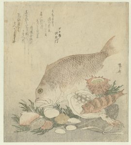 Fische und Muscheln