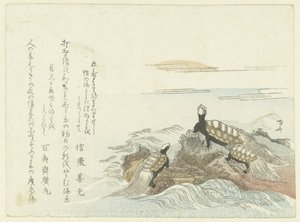 Schildkröten auf einem Felsen von Ryuryukyo Shinsai