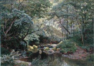 Ein Waldstrom