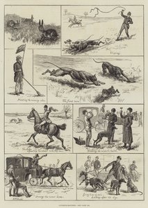 Coursing-Wettkämpfe von S.T. (after) Dadd