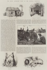 Der südaustralische Hof auf der Kolonialausstellung von S.T. Dadd