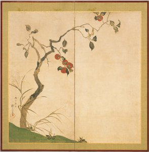Kaki-Baum von Sakai Hoitsu