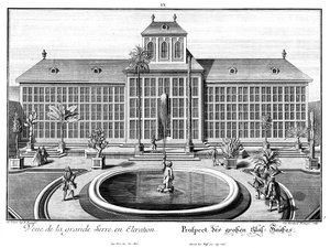 Prospekt des großen Glashauses