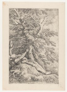Heiliger Wilhelm von Maleval von Salvator Rosa