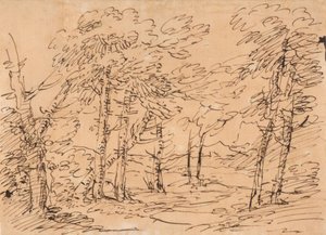Landschaft mit Bäumen und Bergen im Hintergrund von Salvator Rosa
