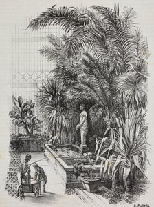 Laokoon und seine Söhne, römische Statue, Lithographie von Salvatore Puglia aus Poliorama Pittoresco, Nr. 1, 13. August