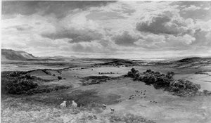 Das Feld von Bannockburn