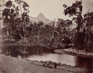 Ceylon Ansichten zu Adams Zahn von Samuel Bourne
