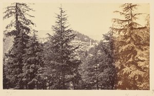 Simla; Die Kirche durch die Bäume, von Jakko von Samuel Bourne