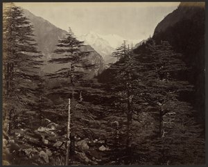  von Samuel Bourne
