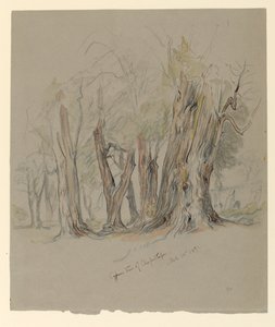 Zypressen von Chapultepec, Mexiko von Samuel Colman