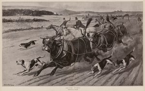 Bravo Toro! von Samuel Edmund (after) Waller