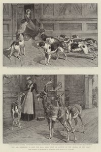 Sie werden gebeten, die Hallentüren wegen der Tiere im Park geschlossen zu halten von Samuel Edmund Waller
