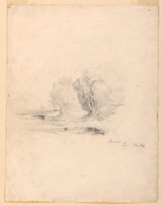 Bach und Bäume
