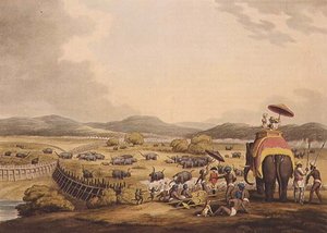 Elefanten in ein Keddah treiben, aus "Oriental Field Sports", verlegt von Edward Orme von Samuel Howett