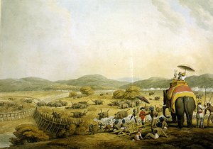 Elefanten in ein Keddah treiben (Aquarell auf Papier) von Samuel Howitt