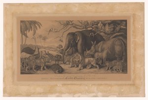 Exotische Tiere aus der königlichen Menagerie am Strand, London von Samuel Howitt