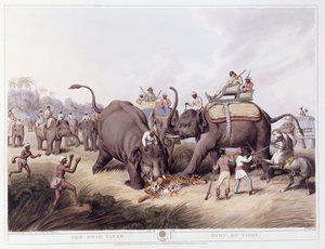 Der tote Tiger; Mort du tigre, 1807 von Samuel Howitt