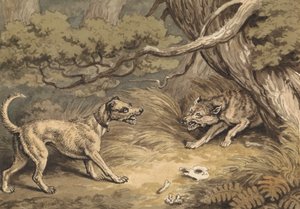 Der Hund und der Wolf