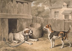 Der schelmische Hund