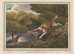 Der Wasserspaniel von Samuel Howitt