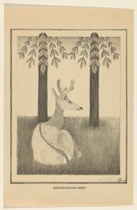 Barasinghahert von Samuel Jessurun de Mesquita (signed by artist)