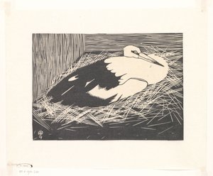 Storch (Magoear-Storch)