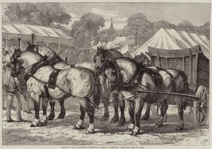 Treffen der Lincolnshire Agricultural Society in Sleaford, Erstplatzierte Pferdeteam