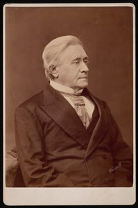 Porträt von Joseph Henry 1797-1878, Dezember 1875