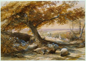 Schafe im Schatten, ca. 1851