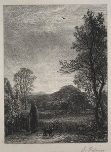 Die Feldlerche