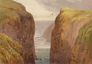 Nordirland, Carrick-a-Rede