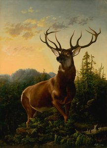 Hirsche in Waldlandschaft, 1876