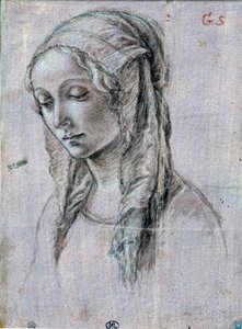 Kopf einer jungen Frau von Sandro (attr. to) Botticelli