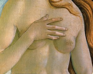 Die Geburt der Venus