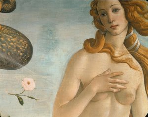 Die Geburt der Venus (Venus Anadyomene)