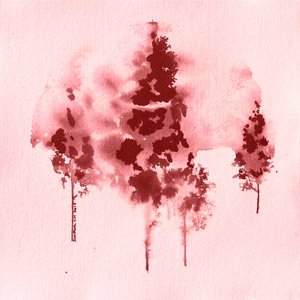 Purpurroter Waldnebel