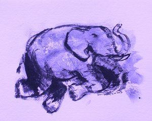 Elefant 42