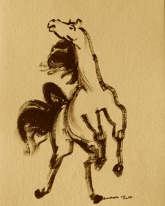 Pferd 24