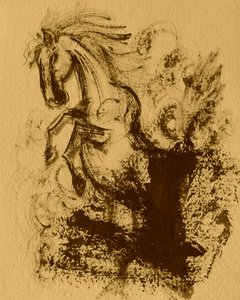 Pferd 25