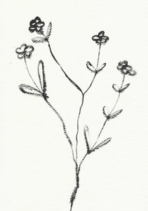Minimalistische Botanische Zeichnung von Santhosh ch