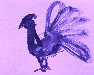 Königlicher violetter Pfau