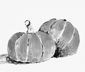 Rustikale Herbstkürbisse