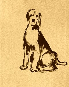 Sitzende Beagle Skizze