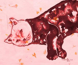 Schlafende rote Katze von Santhosh ch